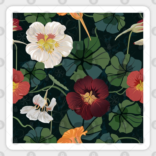 Garden nasturtium Sticker by Avisnanna